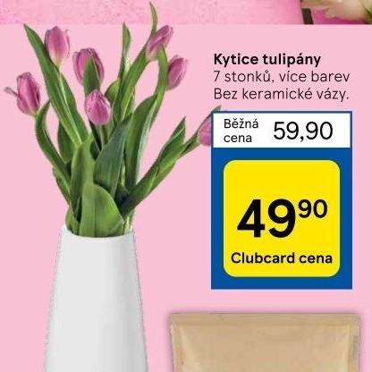 Řezané tulipány