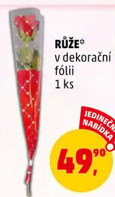 Řezané růže