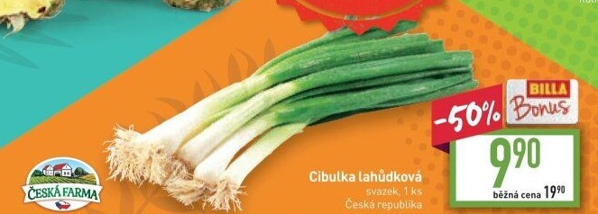 Jarní cibule svazek Česká farma