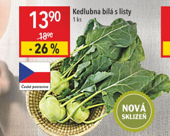 Kedlubna bílá