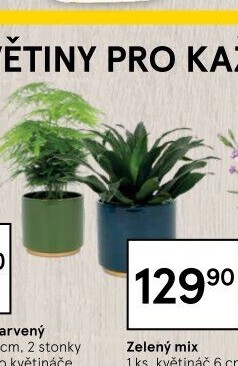 Mix zelených rostlin