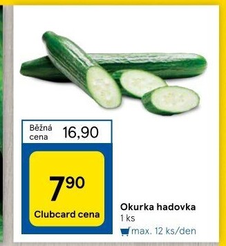 Okurka hadovka