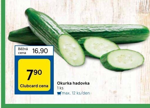 Okurka hadovka