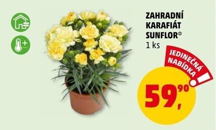 Karafiát