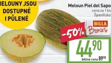 Meloun Piel de Sapo