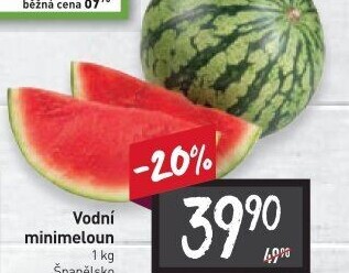 Meloun vodní Baby