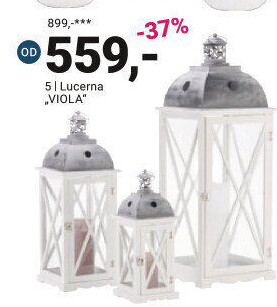 LAMPÁŠ „VIOLA“