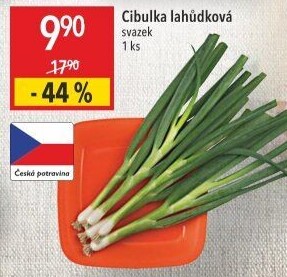 Jarní cibule svazek