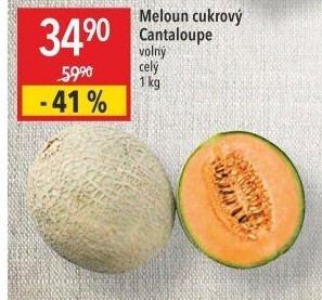 Meloun Cantaloupe