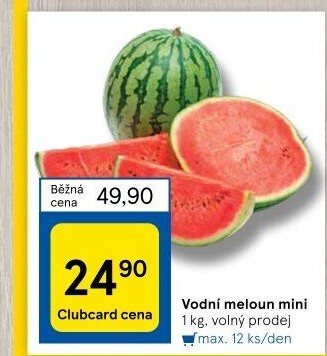 Meloun vodní Baby