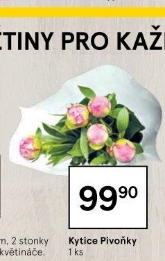 Řezané pivoňky