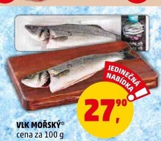 Mořský vlk