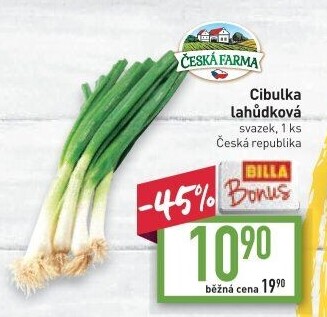 Jarní cibule svazek Česká farma