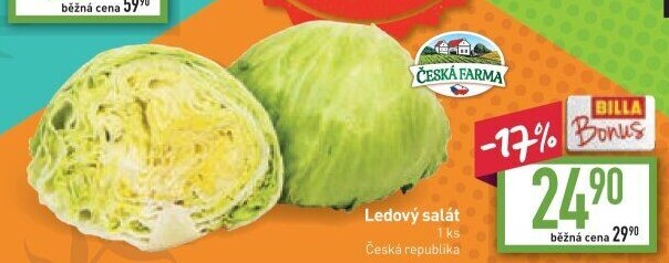 Salát ledový Česká farma