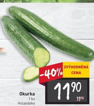 Okurka hadovka