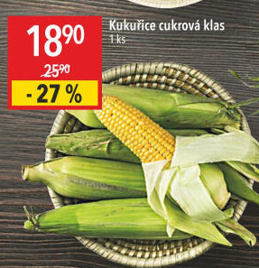 Kukuřice klas