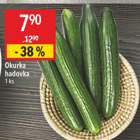 Okurka hadovka