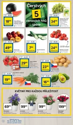 akční leták Tesco 14.6.2023-20.6.2023