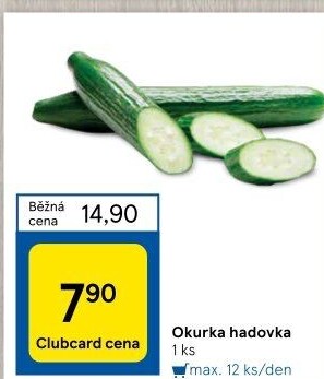 Okurka hadovka