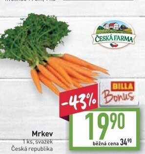 Mrkev svazková Česká farma