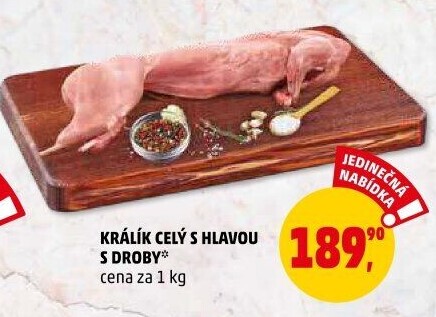 Králík