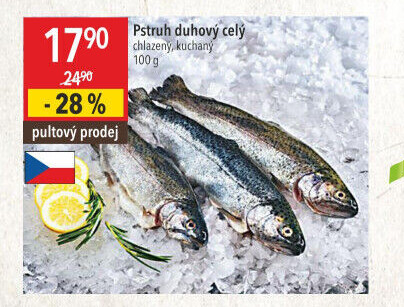 Pstruh duhový