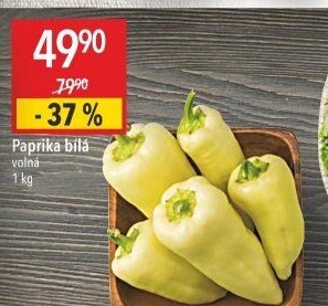 Paprika bílá