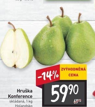 Hrušky Konference