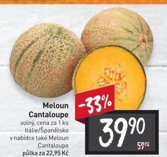 Meloun Cantaloupe