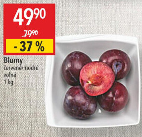 Blumy červené