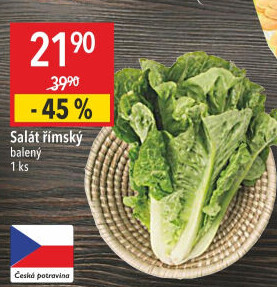 Salát římský