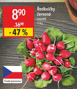 Ředkvičky svazek