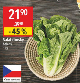 Salát římský