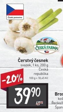 Česnek čerstvý svazek Česká farma