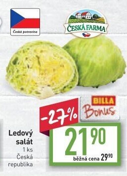 Salát ledový Česká farma