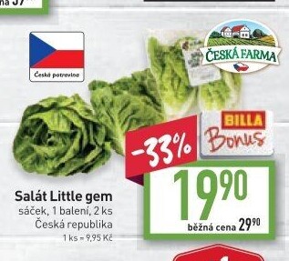 Salát little gem Česká farma