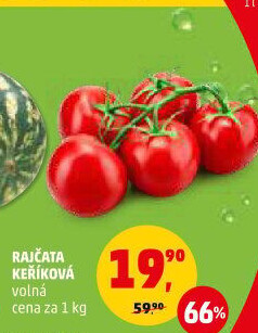 Rajčata keříková