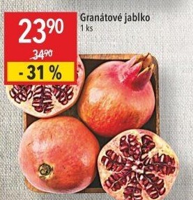 Granátové jablko