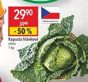 Kapusta hlávková