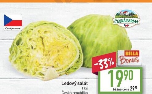 Salát ledový Česká farma