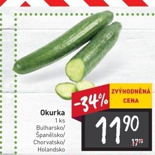 Okurka hadovka