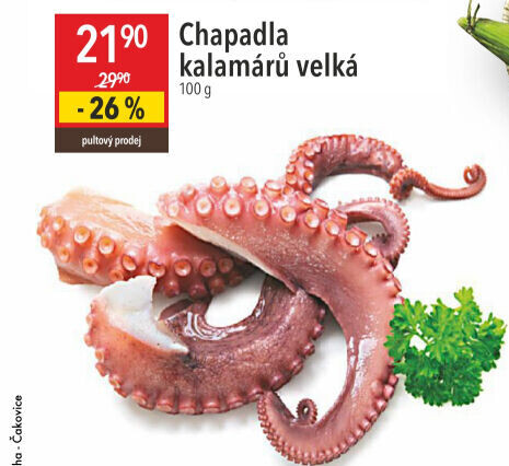 Kalamáry chapadla