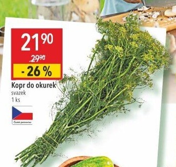 Kopr čerstvý svazek