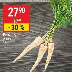 Petržel svazek
