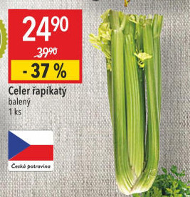 Celer řapíkatý