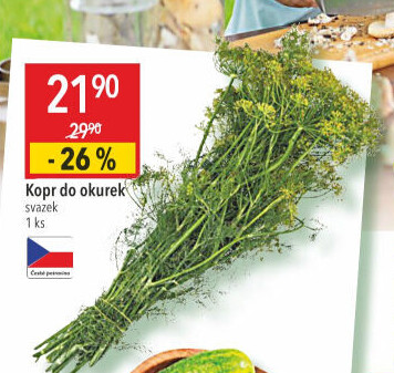 Kopr čerstvý svazek
