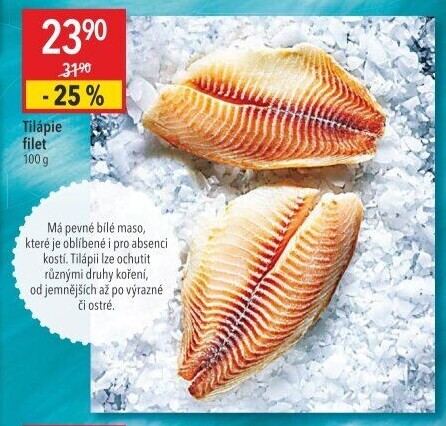 Tilápie filety