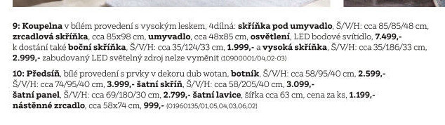 BOTNÍK