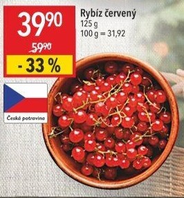 Rybíz červený
