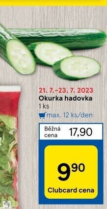 Okurka hadovka